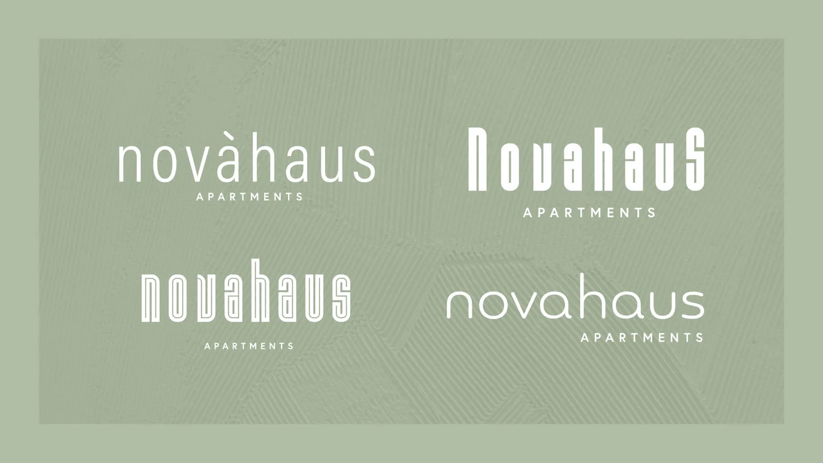 Four Nova Haus logo explorations on a sage green background